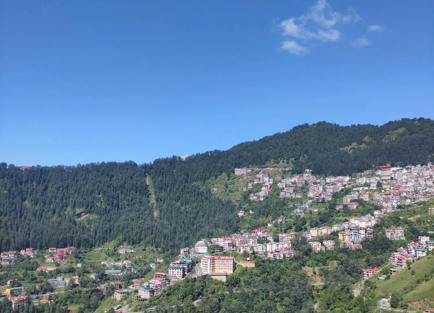 Hill View 1 Bhk Apartment Shimla